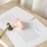 To The Woman Who Raised Me Print
